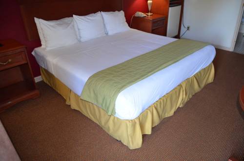 Imagen de la habitación del Hotel Rodeway Inn & Suites, Farragut. Foto 12