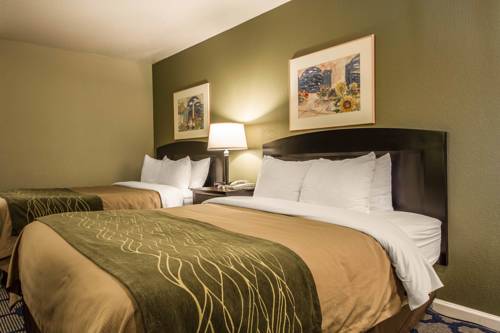 Imagen de la habitación del Hotel Rodeway Inn & Suites Rancho Cordova - Folsom. Foto 5