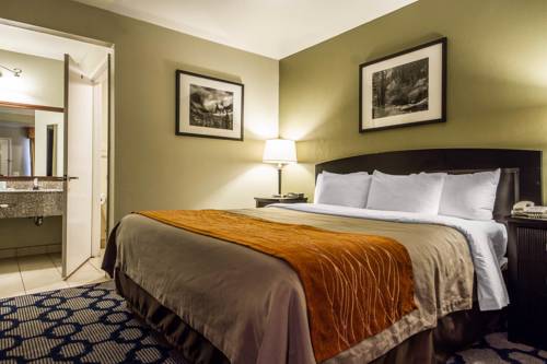 Imagen de la habitación del Hotel Rodeway Inn & Suites Rancho Cordova - Folsom. Foto 9