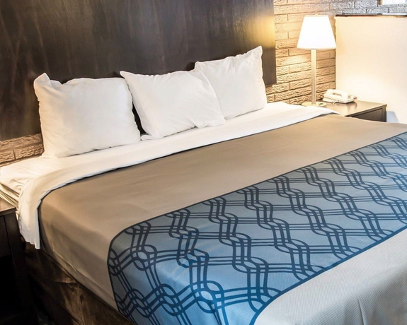 Imagen de la habitación del Hotel Rodeway Inn and Suites Wilmington North. Foto 9
