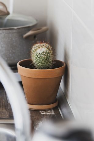 Imagen de la habitación del Hotel Roditsa Patritsia Apartments. Foto 3