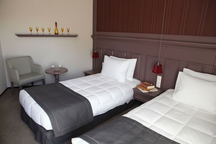 Imagen de la habitación del Hotel Rodopi, Komotin&iacute;. Foto 20