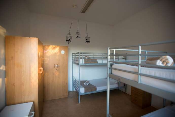 Imagen general del Hotel Roey Backpackers and Party Bar. Foto 6