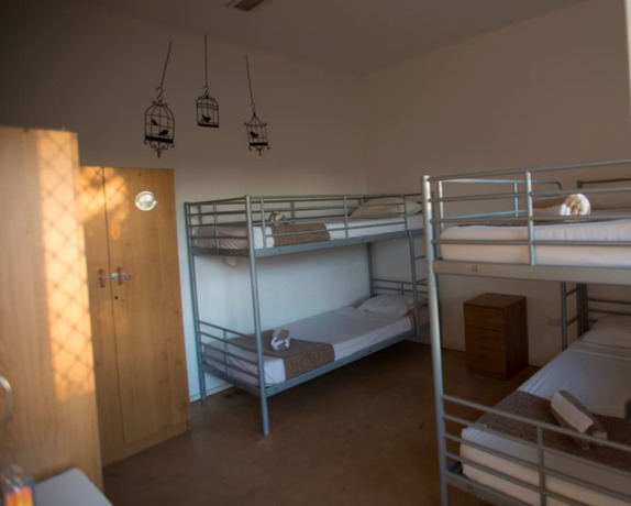 Imagen general del Hotel Roey Backpackers and Party Bar. Foto 7