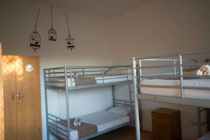 Imagen general del Hotel Roey Backpackers and Party Bar. Foto 9
