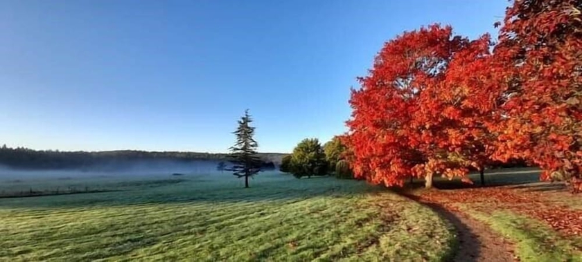 Imagen de los exteriores del Hotel Roffey Park Institute. Foto 8