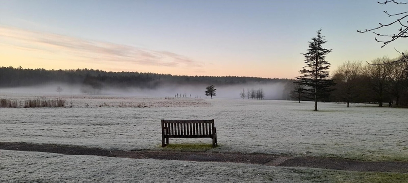 Imagen de los exteriores del Hotel Roffey Park Institute. Foto 9