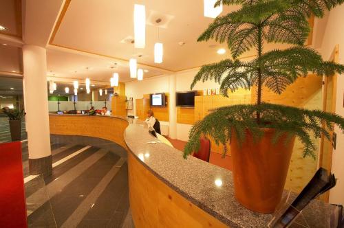 Imagen general del Hotel Rogla – Rogla. Foto 4