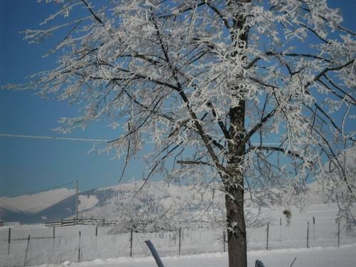 Imagen general del Hotel Rohozna. Foto 16