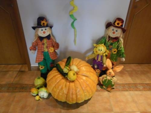 Imagen general del Hotel Rohozna. Foto 18