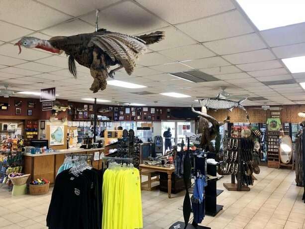 Imagen general del Hotel Roland and Mary Ann Martin Resort. Foto 10