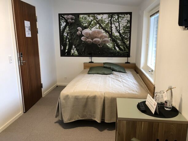 Imagen general del Hotel Rold Storkro, Skorping. Foto 12