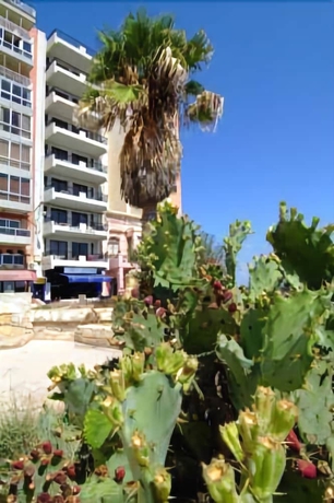 Imagen general del Hotel Roma, Sliema. Foto 3