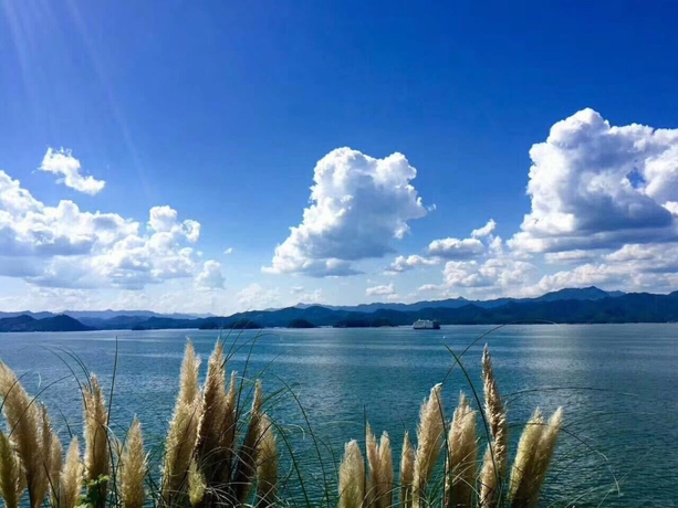 Imagen de los exteriores del Hotel Romaine Vacation Apartment. Foto 14