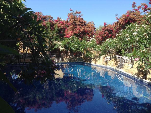 Imagen de la piscina del Hotel Roman Boutique. Foto 15