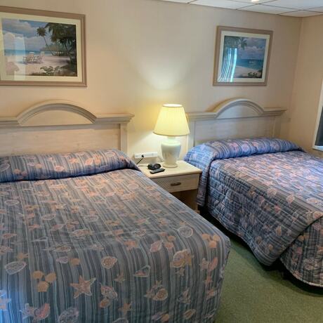 Imagen general del Hotel Roman Holiday Motel. Foto 2