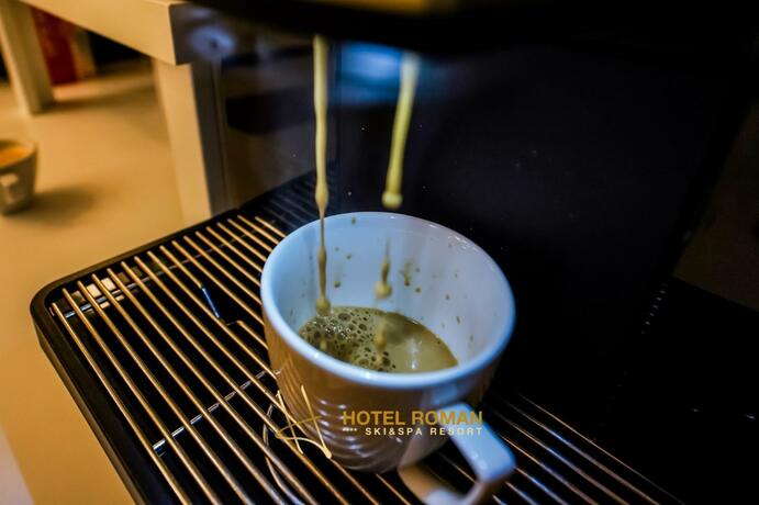 Imagen general del Hotel Roman Maramures. Foto 2