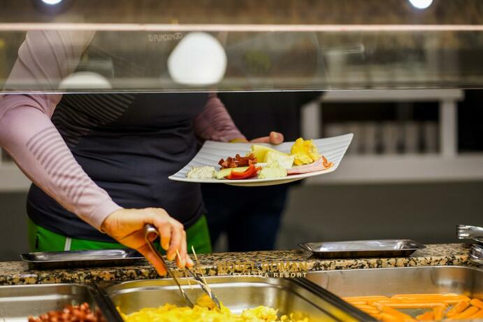 Imagen general del Hotel Roman Maramures. Foto 10