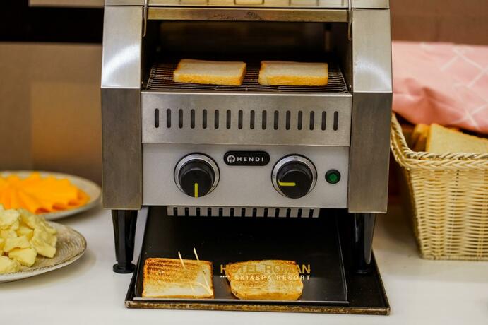 Imagen general del Hotel Roman Maramures. Foto 12