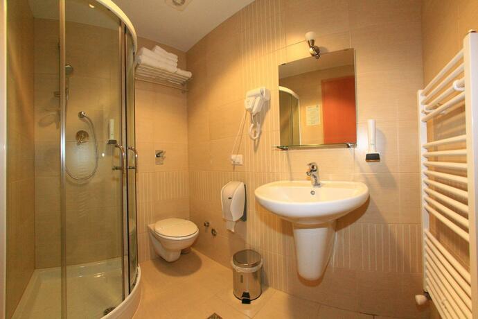 Imagen general del Hotel Roman Maramures. Foto 13