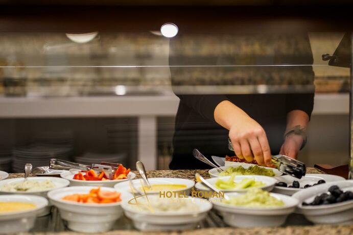 Imagen general del Hotel Roman Maramures. Foto 19