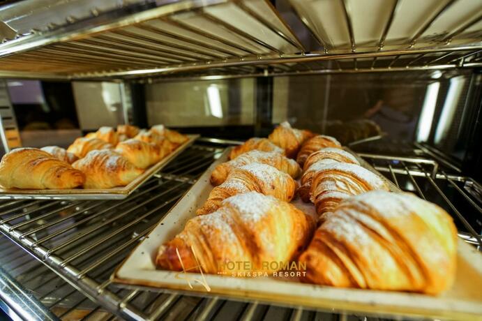 Imagen general del Hotel Roman Maramures. Foto 22