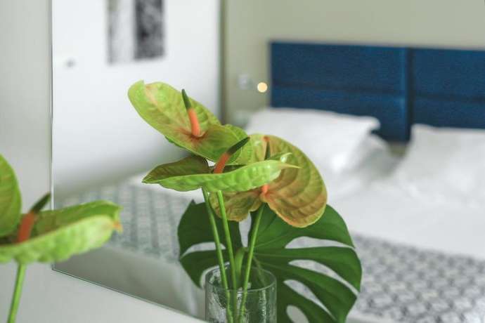 Imagen de la habitación del Hotel Romana Beach Resort. Foto 17