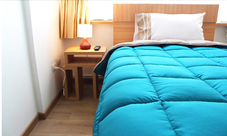 Imagen de la habitación del Hotel Romano, CONCEPCION. Foto 2