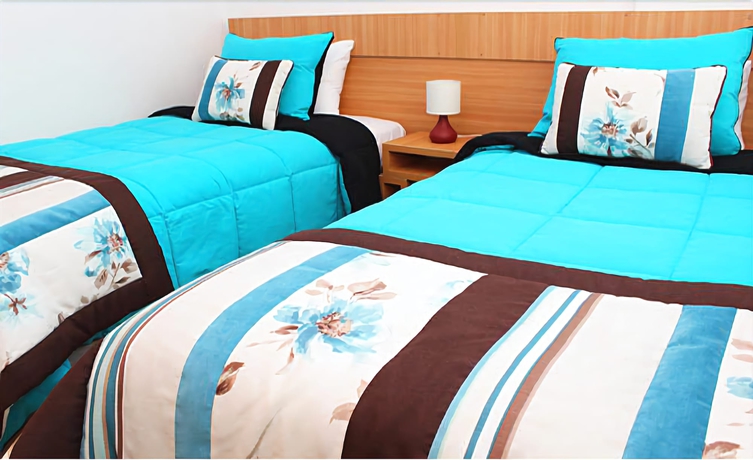 Imagen de la habitación del Hotel Romano, CONCEPCION. Foto 9