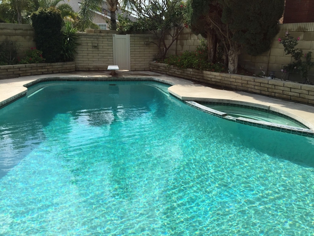 Imagen de la piscina del Hotel Romantic and Luxury Disney Villa. Foto 4