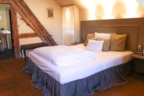 Imagen general del Hotel Romantik Friedrich Von Schiller. Foto 6
