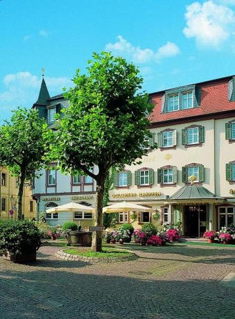 Imagen general del Hotel Romantik Goldener Karpfen. Foto 2