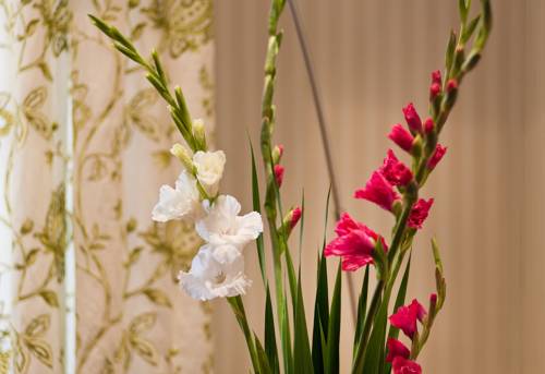 Imagen de la habitación del Hotel Romantik Markusturm. Foto 5