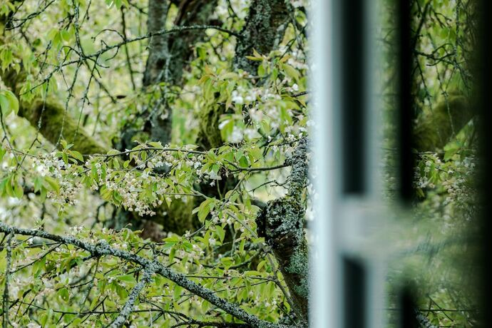 Imagen de la habitación del Hotel Romantik Neuhaus. Foto 17