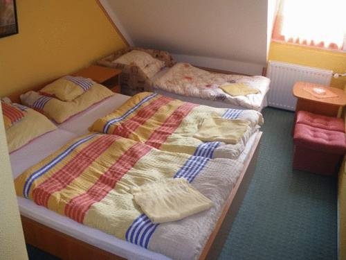 Imagen general del Hotel Romantik &eacute;tterem - Panzi&oacute;. Foto 9