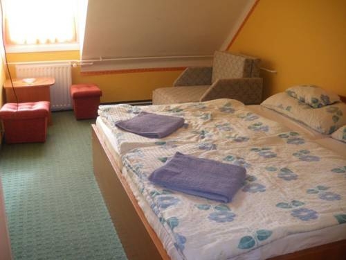 Imagen general del Hotel Romantik &eacute;tterem - Panzi&oacute;. Foto 11