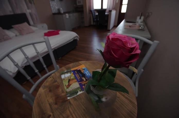 Imagen general del Hotel Romantika Panzi&oacute;, GYULA. Foto 3