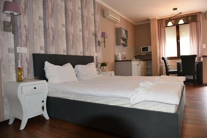 Imagen general del Hotel Romantika Panzi&oacute;, GYULA. Foto 7