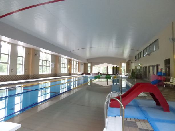 Imagen de la piscina del Hotel Romantopia, A Landscape Of Forest and Stars, The Swan, Of Stars. Foto 19