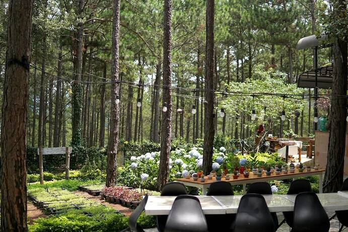 Imagen de los exteriores del Hotel Romeo Juliet Dalat Resort. Foto 31