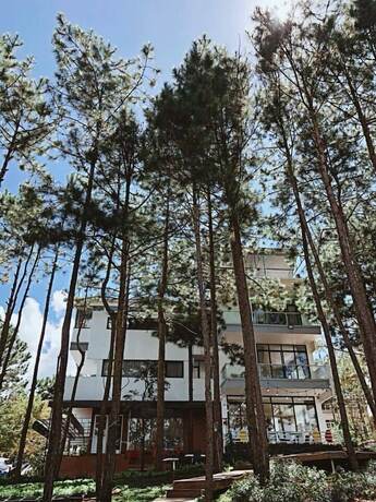 Imagen de los exteriores del Hotel Romeo Juliet Dalat Resort. Foto 34