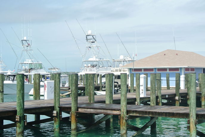 Imagen del bar/restaurante del Hotel Romora Bay Resort and Marina. Foto 6