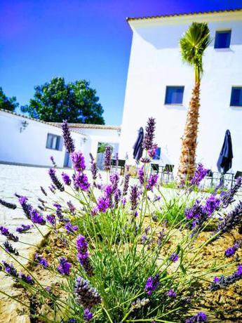 Imagen general del Hotel Ronda Moments. Foto 4