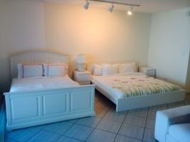 Imagen del Hotel Roney Palace. Foto 16