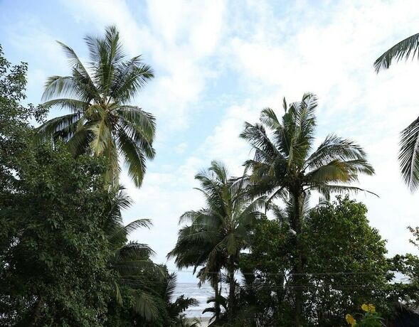 Imagen general del Hotel Room Maangta 326 - Pernem Goa. Foto 7