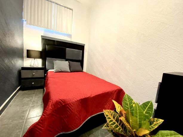 Imagen general del Hotel Roomies Hostel Reforma-El Ángel. Foto 1