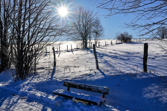 Imagen de los exteriores del Hotel Roompot Bergresort Winterberg. Foto 12