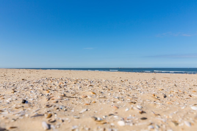 Imagen de los exteriores del Hotel Roompot Breeduyn Village. Foto 19