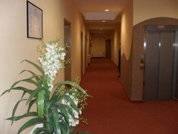Imagen general del Hotel Rooms Elez. Foto 10