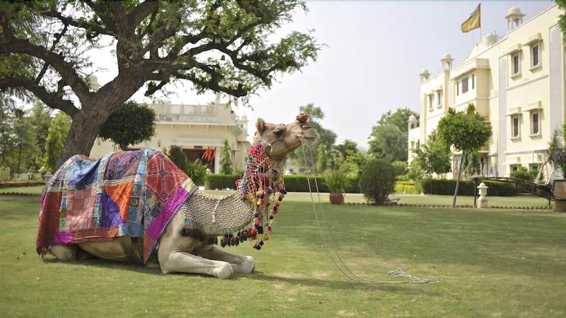 Imagen de los exteriores del Hotel Roop Vilas Palace. Foto 14